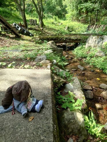 わんにん、今度は二人でこよう。
あなたの好きな氷菓もある。

きっと気に入るよ