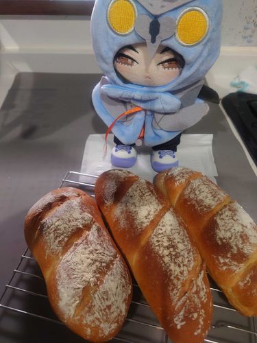 さくさくのソフトフランスパンだ。
タンドリーチキンとチェダーチーズを挟んで食べたぞ。
