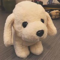 杏兒🐶和杏兒的朋友們