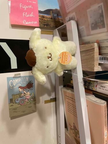在家尋找各種可以站的地方
ᕦ( ᐛ )ᕡ