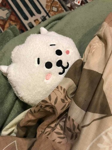 蓋被被
•̀.̫•́✧ ：羊駝才不怕冷 哼