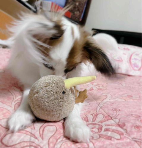 たちけて……