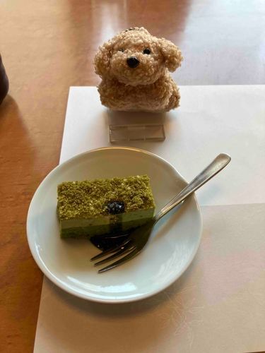 抹茶チーズケーキおいしかった〜✨