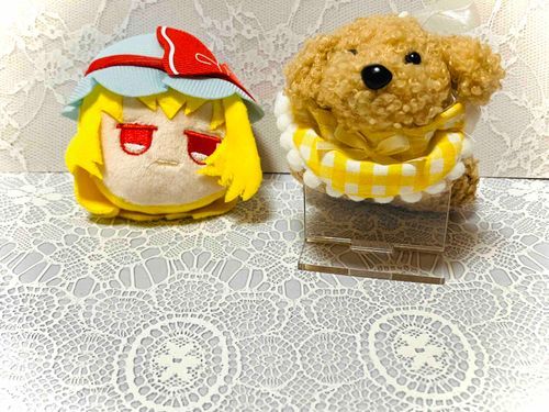 ぷりちの新しいおともだち、フランドールちゃんだよ✨