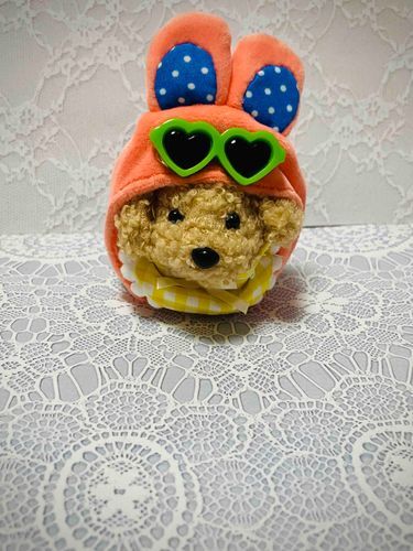 🐰🕶️✨