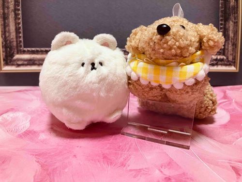 お久しぶり〜🐶
ぷりちにあたらしいおともだちができたよ✨
これからものんびり更新だけどよろしくね♪