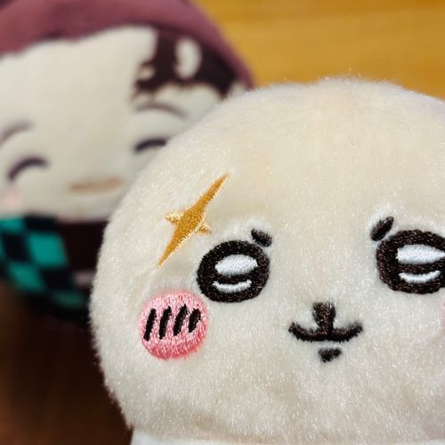 あたらしかぞくがふえました。ラコせんせです！