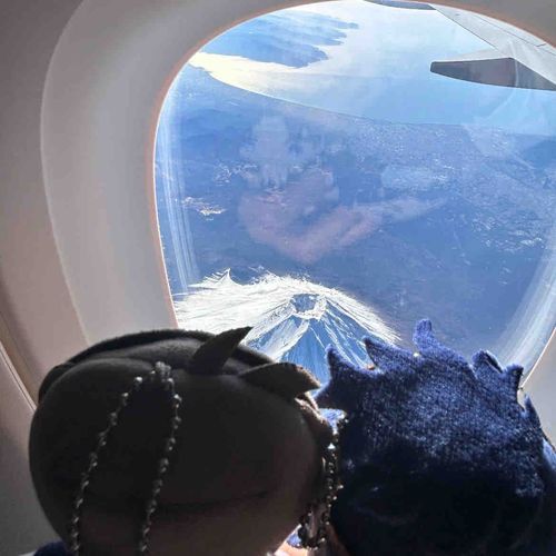 ふじさんの まうえに いきました✈️あんなに おおきな やまなのに それよりも たかい なんて ふしぎ