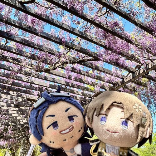 あま〜い いいによい でした！ことしも みられて うれしいな