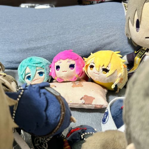 あたらしい なかまたちが やってきたよ🏝️