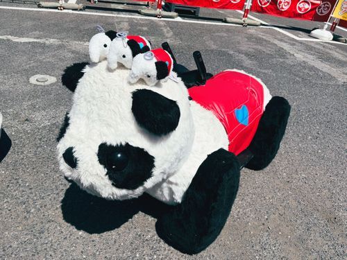 🐼🐘🐘🐘