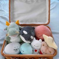 こたろうのおうち