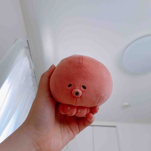 今日はしんどい日タコね、今日はずっといっしょにいようタコ🐙
