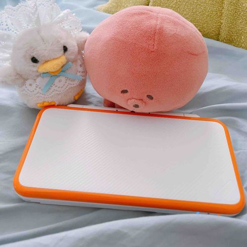 ずっと欲しかったゲーム機が買えたらしいタコ！よかったタコねぇ🐙