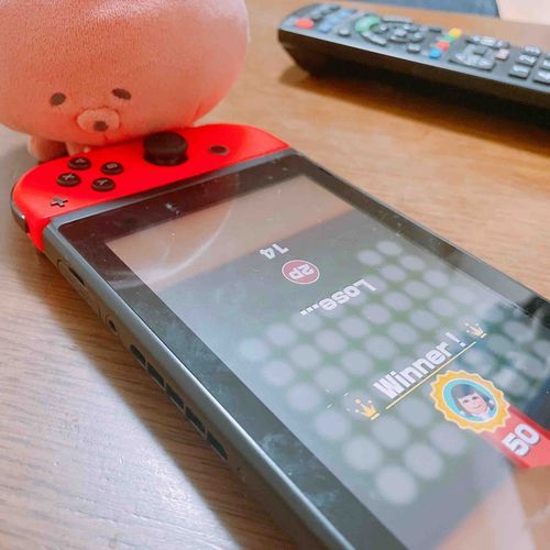 もうやらない、タコ🐙