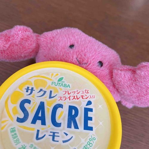 サクレって知ってる？おいしいよ🍋