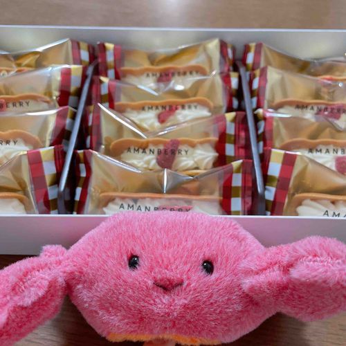 いただきものの美味しいお菓子だよ！