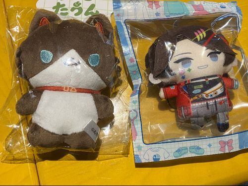 ぬいストアでお迎えした新入り達！
佐伯タウンも欲しかったけど売り切れてたぜ…😿‪💧‬