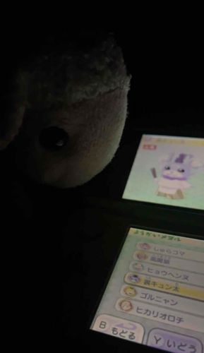 一緒に妖怪ウォッチやってるよ