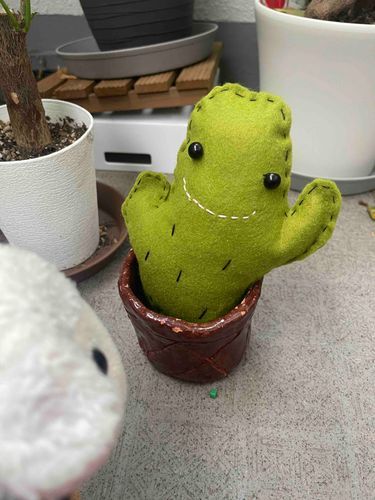 さぼてんさん、こんにちは。