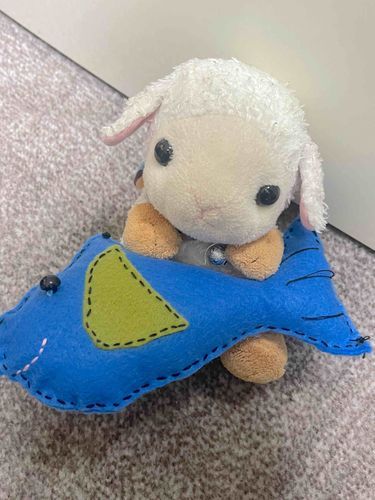 大漁だ〜‼️