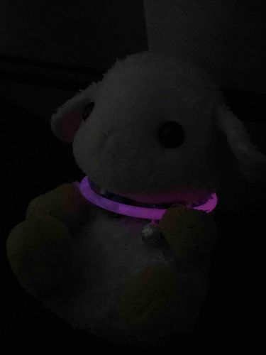 ピンクにひかってる！めぇめぇ！
