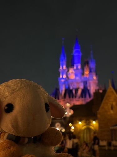 東京ディズニーランドにいったよ。
ゲリラ豪雨おそろしかったけど、たのしかったです。🎡