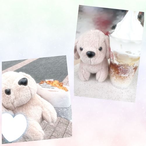 今日は、まろんとかいぬしが、お散歩したみたい！
コンビニって、つい寄っちゃうよね🐾