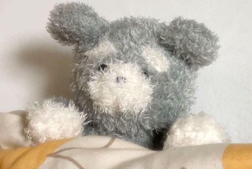 なんだか最近たくさん寝てもずっと眠たい…𓈒𓂂𓏸
ずーっとおふとんにいたい…🐶