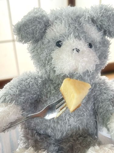 チーズケーキ✨️
すごくおいしい！！！！😋
幸せだな〜🥰