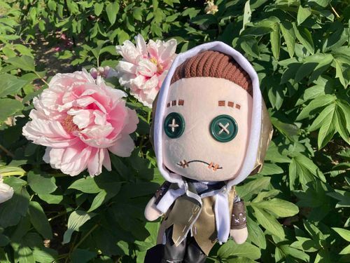 でっかい ぼたん の 花✨
