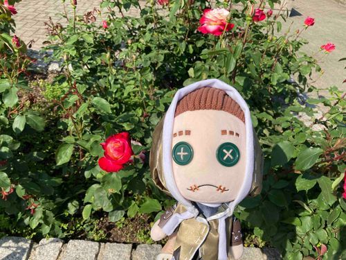 ばら🌹のきせつだな