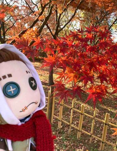 もみじ🍁