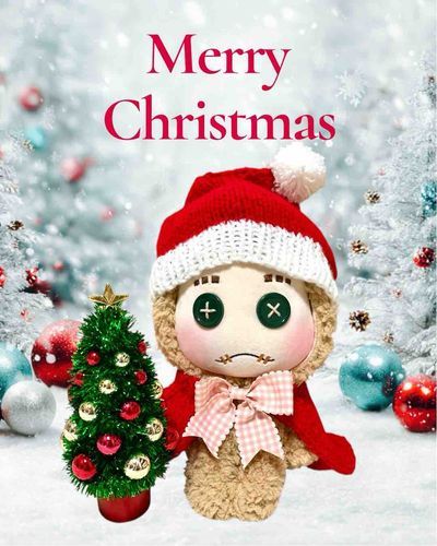 メリークリスマス🎄✨