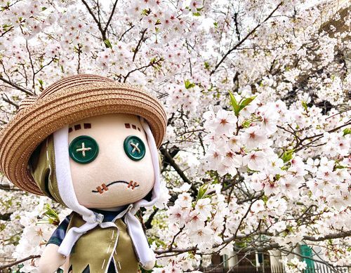 桜！！！🌸🌸🌸