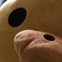 キイロイトリさん