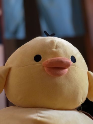ヤホー！
