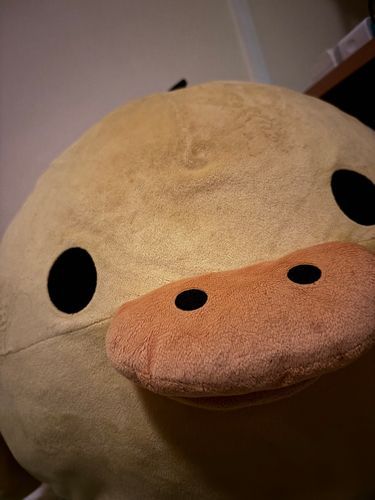 マクラモトデミマモッテルヨ