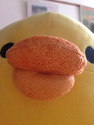 オハヨォ