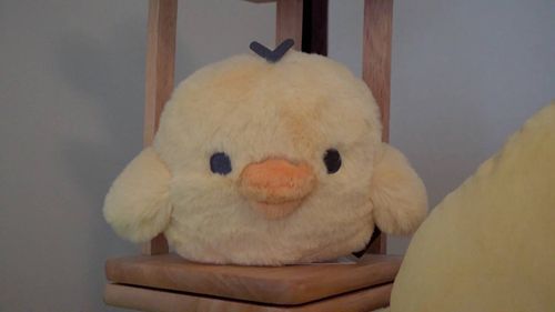 ケガスルカラヤメトキ！