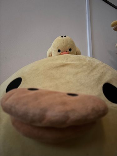 ネエ？アソボ