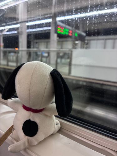初めて新幹線に乗ったよ🚄