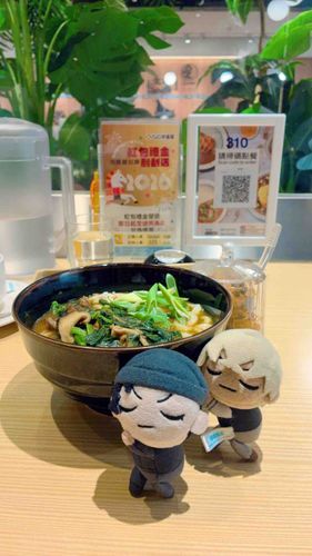 CoCo壱(台湾)のカレーうどん🍛✨