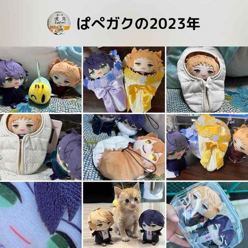 去年は お出かけたくさん したぜ！
今年もよろしくおねがいますっす！✌️