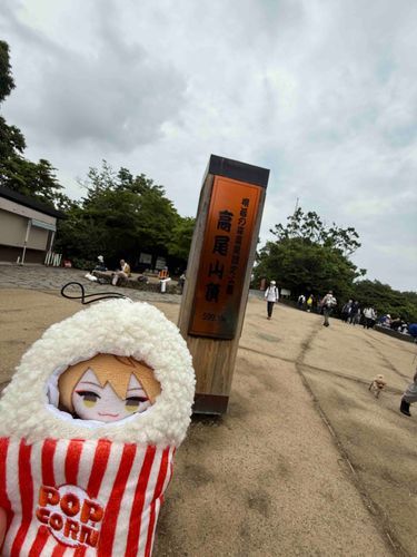 この前 高尾山 いってきた ぜ✌️
飼い主が オレと 一緒に行けて よかたって 言ってた！