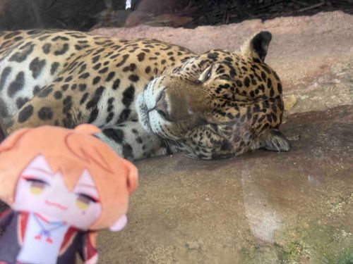 一緒に キメ顔した しゃしん もあるんだ ぜ！