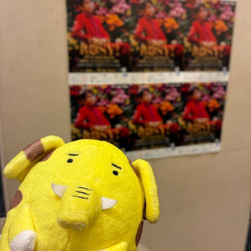 及川光博さんのライブに行ってきたゾウキリン。

とてもかっこよかった！！！🐘🦒