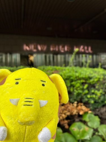 まの推しのお誕生日を一緒に祝わされるゾウキリン。