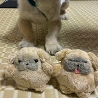 ふくふくまるとすやすやまる
