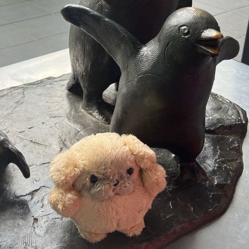 きょうとのぺんぎんとぱたぱた…